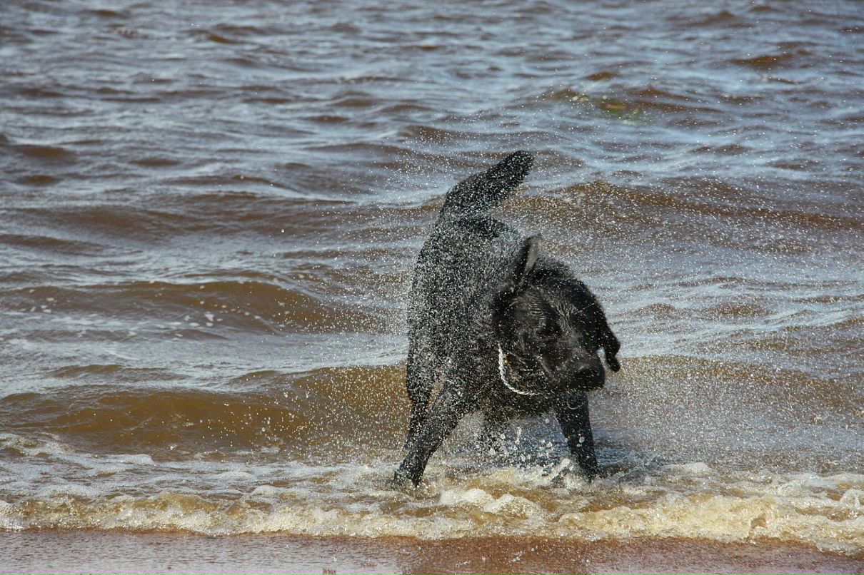 Даниил Сидоров фотография #29