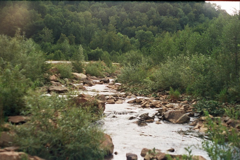 Рустам Казанцев фотография #22