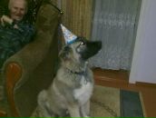 Женя Тимофійчук фотография #40 (источник - https://vk.com/id89248889)