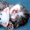 Олег Красільніков фотография #39 (источник - https://vk.com/id25343791)