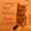 Юра Кіт фотография #7 (источник - https://vk.com/id71664198)