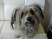 Фотография Чешуиной Марии