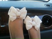 Фотография Горгоны Медузы