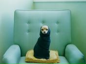 Фотография Абрамовой Виктории