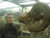 Фотография Новиков Дмитрий