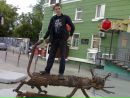 Фотография  