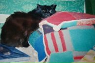 Фотография Хитрин Алексей