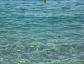 Анна Сайфеева фотография #26 (источник - https://vk.com/id52160127)