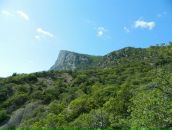 Віктор Копінський фотография #9 (источник - https://vk.com/id10115601)