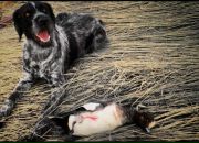 Фотография Agapov Denic