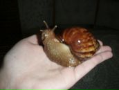 Фотография Стародубовой Юлии