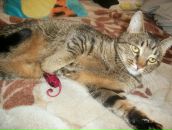 Валерій Матіїшин фотография #7 (источник - https://vk.com/id13193276)