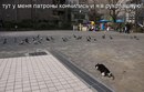 Ольга Адаменко фотография #37 (источник - https://vk.com/id161111409)