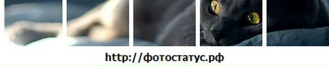 Іра Кулик фотография #27 (источник - https://vk.com/id19033940)