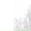 Света Іваніга фотография #49 (источник - https://vk.com/id83576210)