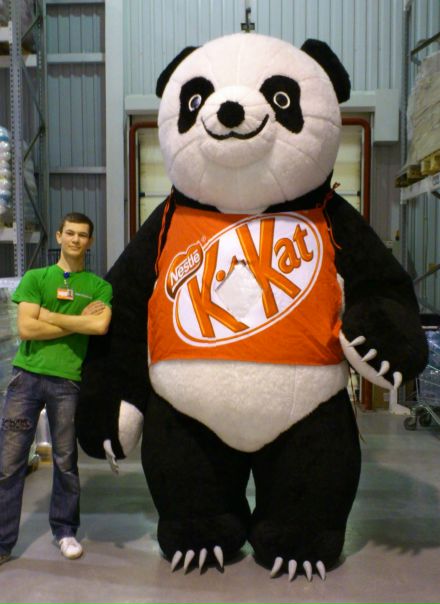 №10, Владимир Долженко, Wrocław №10, Владимир Долженко, Wrocław