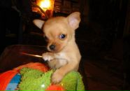 Фотография Владимировны Светланы