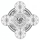 Ромашка Ом фотография #41 (источник - https://vk.com/id3346940)