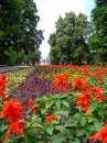 Ірина Гамулевич фотография #39 (источник - https://vk.com/id57291091)