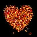 Зоя Хотенко фотография #19 (источник - https://vk.com/id8317306)