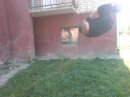 Саша Рудік фотография #16 (источник - https://vk.com/id38120987)