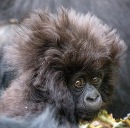 Фотография Матрениной Илоны