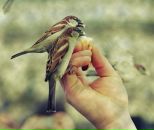 Фотография Матынян Анны