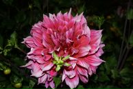 Вікуся Бичко фотография #14 (источник - https://vk.com/id144678144)