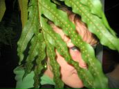 Фотография Харитоновой Наташи