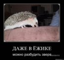 Станіслав Маторін фотография #18 (источник - https://vk.com/id51334110)