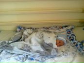 Христина Якимів фотография #2 (источник - https://vk.com/id101179257)