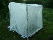 Фотография Корчагина Алексея