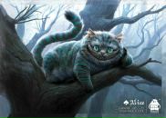 Міша Вишкварка фотография #1