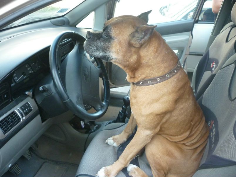 №17, Элина Третьякова №17, Элина Третьякова