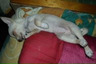 Виктор Бардадым фотография #35 (источник - https://vk.com/id39120790)