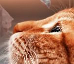 Фотография Валеева Сергея