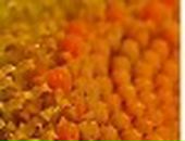 Віта Кульбовська фотография #40 (источник - https://vk.com/id103185794)