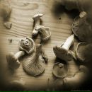 Юрій Ковальський фотография #6 (источник - https://vk.com/id132603403)