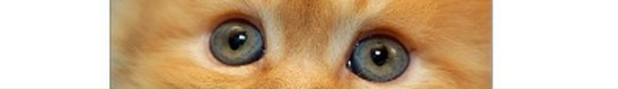 Іванка Мокра фотография #31 (источник - https://vk.com/id64092309)