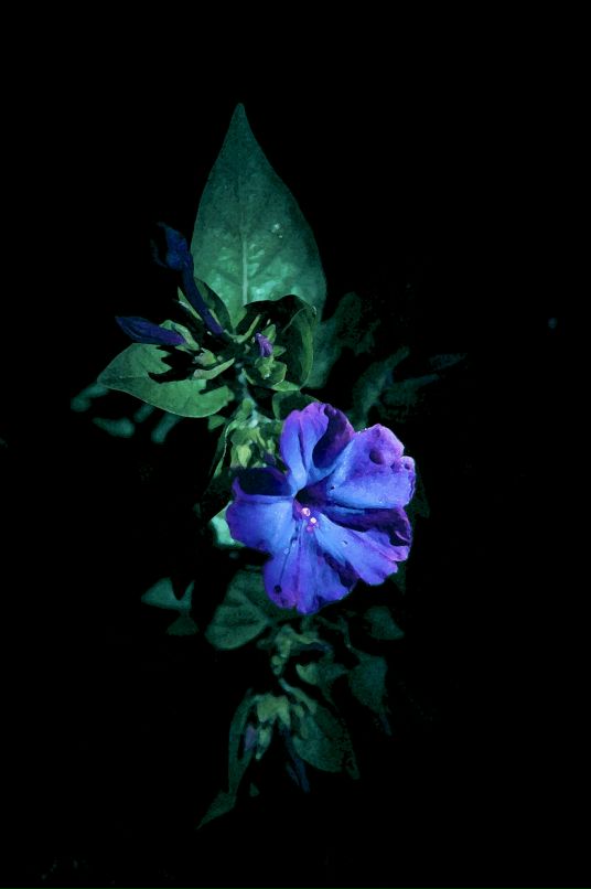 Рустем Гайсин фотография #44