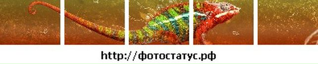 Назарій Бойчишин фотография #31 (источник - https://vk.com/id72035172)