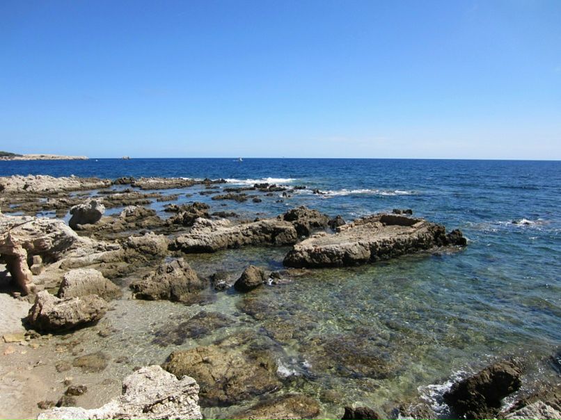 Julia Prokopenko фото №19