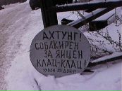 Vanya Koretskij фотография #41 (источник - https://vk.com/id30265763)