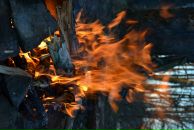 Фотография Androidovih Android