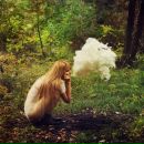 Too Forget фотография #1