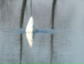 Віктор Деркач фотография #39 (источник - https://vk.com/id16239359)