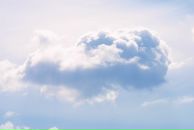 Фотография Невоструевой Ксении