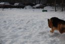 Маша Федько фотография #13 (источник - https://vk.com/id543435)