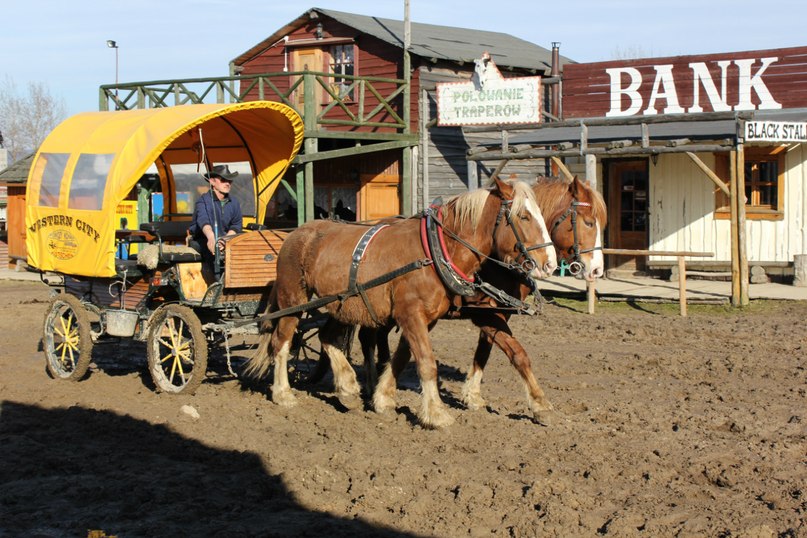 Денис Наводный фотография #14