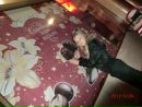 Діанка Баранова фотография #42 (источник - https://vk.com/id153721235)